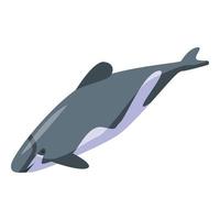 subacqueo delfino icona, isometrico stile vettore