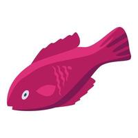 rosa pesce icona isometrico vettore. mare carino pesce vettore