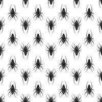 Pericolo ragno modello senza soluzione di continuità vettore