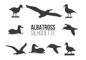 vettore di albatros sillhaouttes