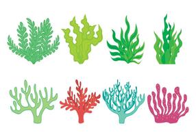 Set di icone di mare Weed vettore