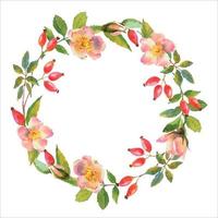 acquerello rosa anca ghirlanda. fiori, le foglie e frutta di selvaggio Rose. radica, acquerello pittura per decorazione. acquerello illustrazione isolato su bianca sfondo. vettore