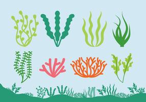 Icone delle piante di mare vettore