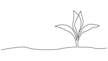 singolo continuo linea arte in crescita germoglio. pianta le foglie seme crescere suolo piantina eco naturale azienda agricola concetto design vettore