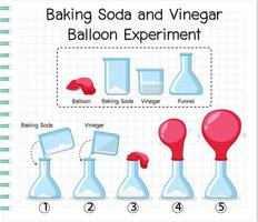 esperimento scientifico con bicarbonato di sodio e aceto palloncino vettore