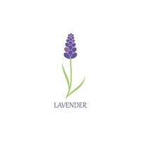 lavanda floreale aromatico logo vettore icona illustrazione