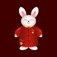 Cinese conigli, coniglietti, lepre nel rosso kimono. vettore illustrazione. Cinese nuovo anno design elemento.