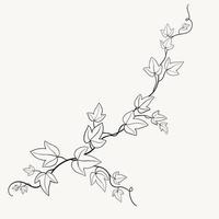 floreale edera disegno decorativo ornamento piatto design. vettore