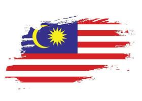 Malaysia pennello telaio bandiera vettore