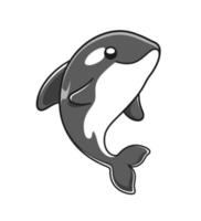 carino orca balena vettore illustrazione. uccisore balena cartone animato clipart.