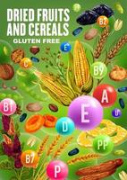 vitamine nel secco frutta, noccioline e cereali vettore