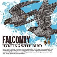 falconeria a caccia, selvaggio falco uccelli vettore