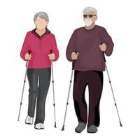 anziano coppia l'esecuzione nordico a piedi con stikcs vettore illustrazione.anziano personaggi fare sport.nonna e nonno formazione insieme.vecchio persone attività.