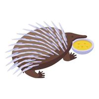 echidna mangiare icona isometrico vettore. carino animale vettore