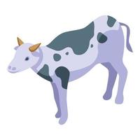 latte mucca icona isometrico vettore. americano bisonte vettore