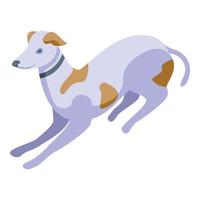 sprint cane icona isometrico vettore. animale domestico animale vettore