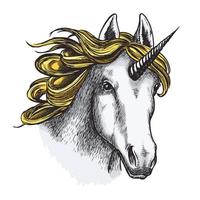 unicorno isolato schizzo con testa di Magia animale vettore