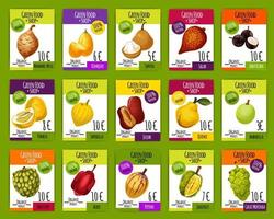 esotico tropicale frutta mercato prezzo carte vettore