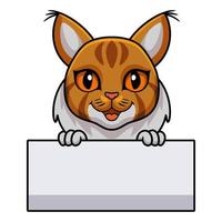 carino Maine coon gatto cartone animato Tenere vuoto cartello vettore