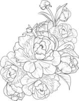 peonia Flwoer mazzo, isolato fiore mano disegnato vettore schizzo illustrazione, botanico collezione ramo di foglia mini cuffie naturale collezione colorazione pagina floreale mazzi di fiori inciso inchiostro arte.