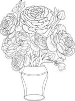 ranuncolo disegno.bouquet di ranuncolo fiore, mano disegnato matita schizzo colorazione pagina e libro per adulti isolato su bianca sfondo floreale elemento illustrazione inchiostro arte. vettore