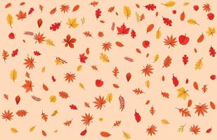 colorato autunno autunno le foglie floreale sfondo illustrazione con acero foglia vettore