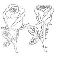 mano disegnato rosa linea disegno immagini illustrazione collectio vettore