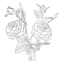 mano disegnato rosa linea arte disegno immagini illustrazione collezione vettore