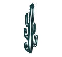 cactus impostato mano disegnato illustrazioni, vettore