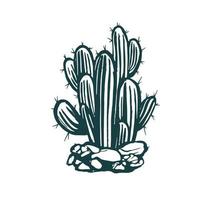 cactus impostato mano disegnato illustrazioni, vettore