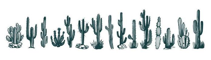 cactus impostato mano disegnato illustrazioni, vettore