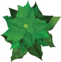 allegro Natale poinsettia fiore, diverso colori fiore, può essere Usato Questo grafico per qualunque genere di merce. esso è Perfetto per qualunque progetto confezione, tazze, borse, magliette, eccetera. qualunque cosa voi volere vettore