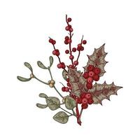 Natale botanica composizione con agrifoglio le foglie e frutti di bosco e vischio. vettore illustrazione nel schizzo stile isolato su bianca sfondo