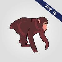 carino scimmia icona. vettore illustrazione isolato su un' grigio sfondo.