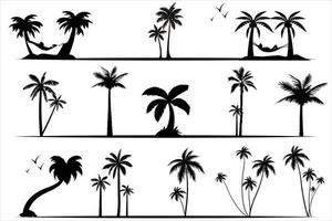 collezione palma albero silhouette