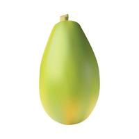 realistico crudo papaia, vettore illustrazione