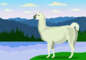Illustrazione vettoriale del lama