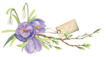 acquerello mano disegnato composizione con primavera fiori, croco, le foglie e steli, arco, regalo etichetta. isolato su bianca sfondo. per inviti, nozze, saluto carte, sfondo, Stampa, tessile. vettore