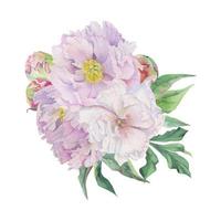 acquerello mazzo preparativi con mano disegnato delicato rosa peonia fiori, mini cuffie e le foglie. isolato su bianca sfondo. per inviti, nozze, amore o saluto carte, carta, Stampa, tessile vettore