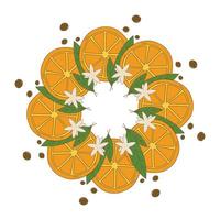 il giro telaio con arance e le foglie spazio per testo vettore