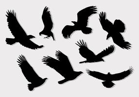 Buzzard Eagle Silhouettes vettoriale gratuito