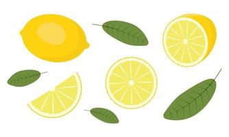 frutta fresca di limone, raccolta di illustrazioni vettoriali