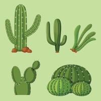 cactus logo vettore illustrazione modello