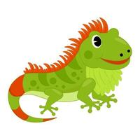 animale illustrazione di iguana vettore