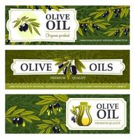 olio e frutta di oliva albero vettore banner