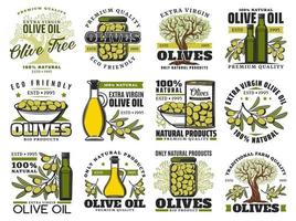 oliva olio bottiglia, verde frutta, albero ramo icone vettore