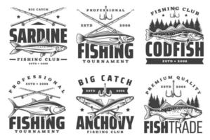 acciuga, sardina e merluzzo pesca icone vettore