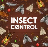 peste controllo, insetto disinfestazione. bug e mosche vettore