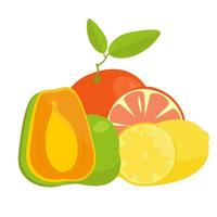 ancora vita di arancia, Limone e papaia. luminosa succoso frutta colori nel vettore isolato su bianca sfondo