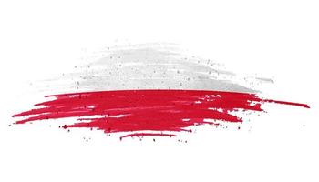 bandiera nazionale della polonia vettore